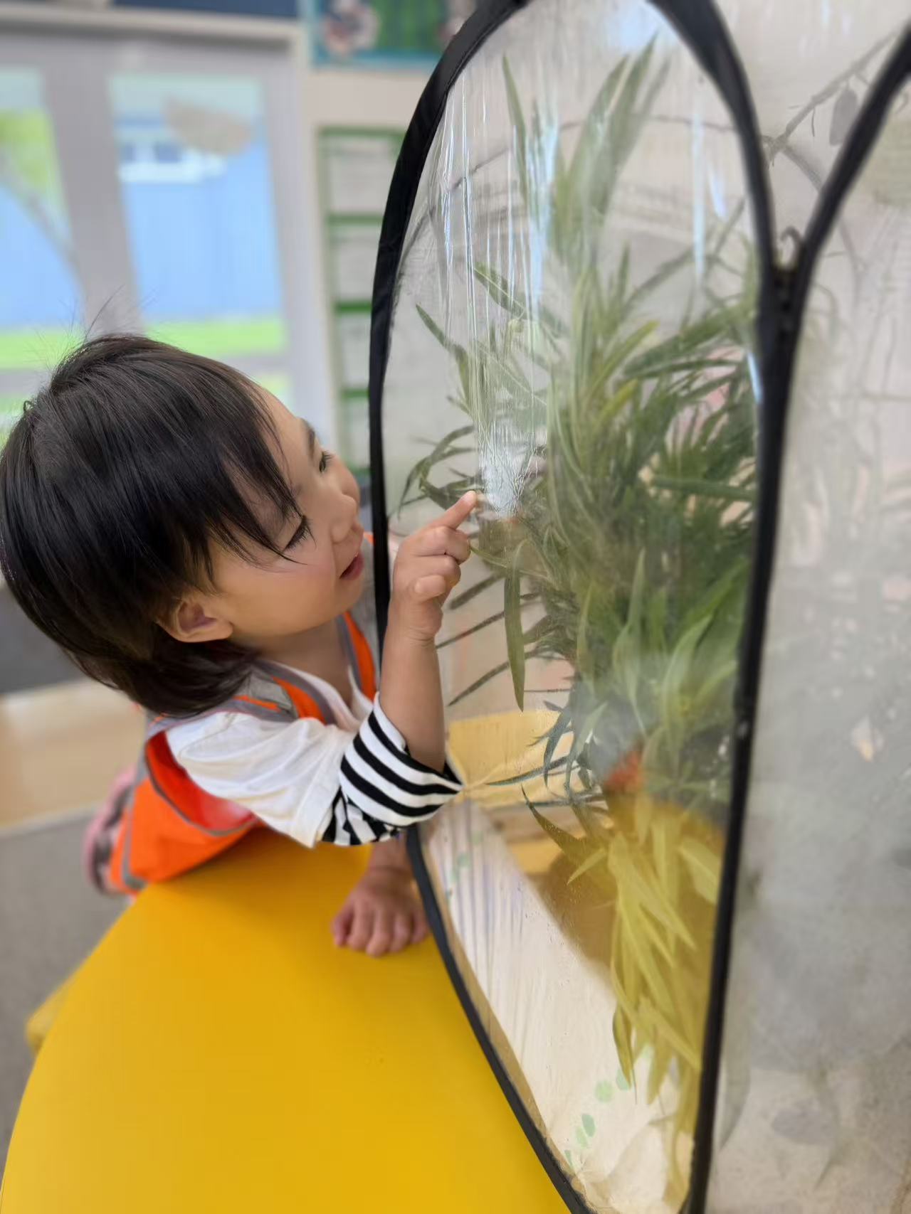 Child observing nature inside the classroom