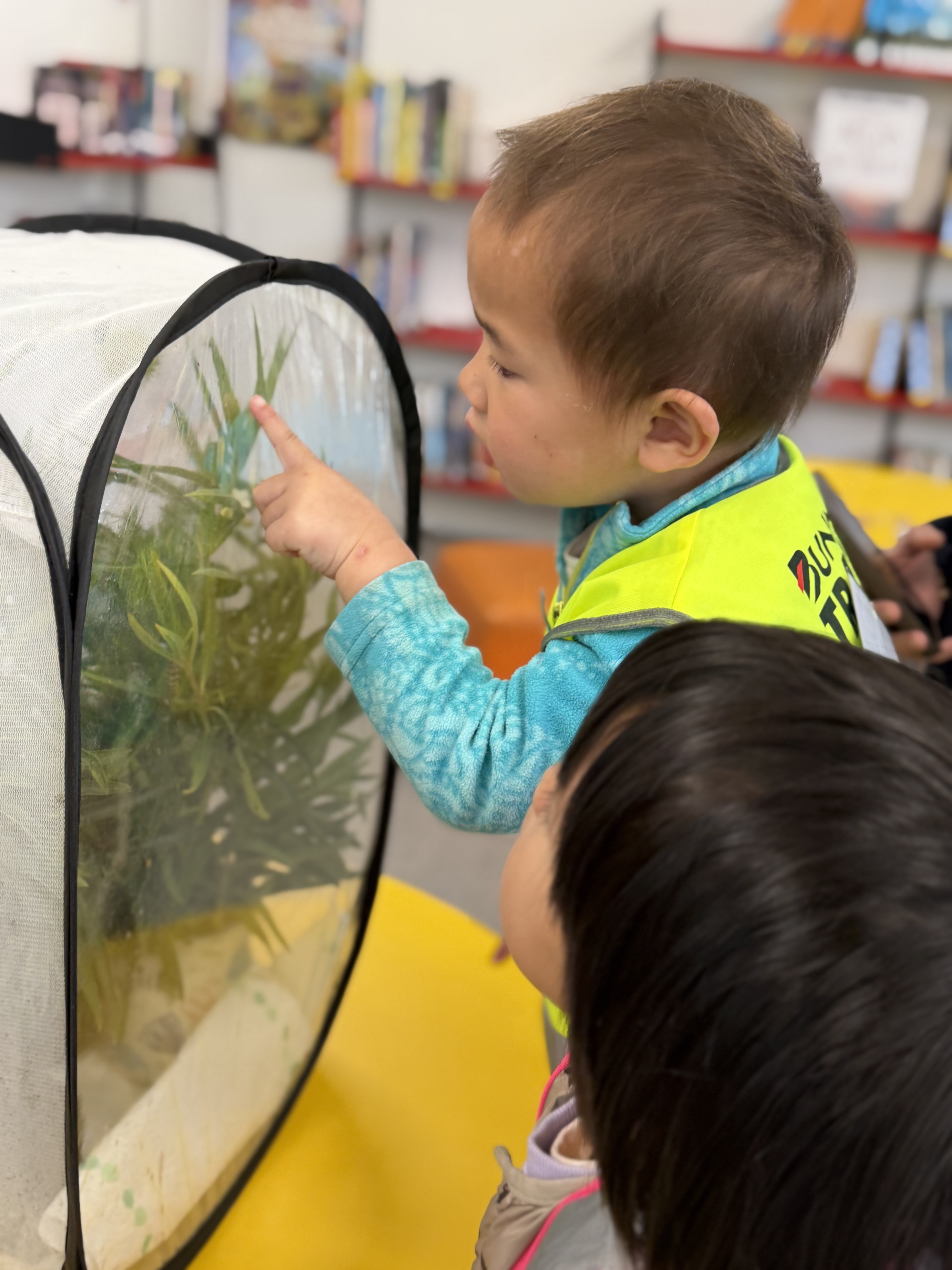 Children observing a butterfly habitat